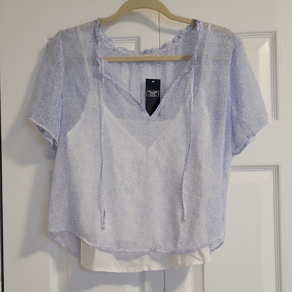 Abercrombie & Fitch Light Blue Sheer Blouse